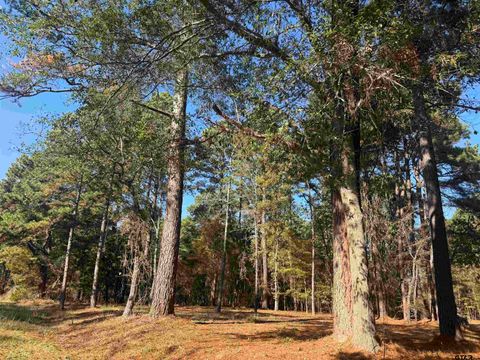 186 Susan Dr Bullard TX 75757