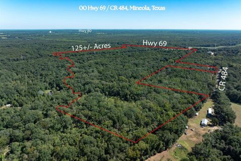 00 Hwy 69 / CR 484 Mineola TX 75773