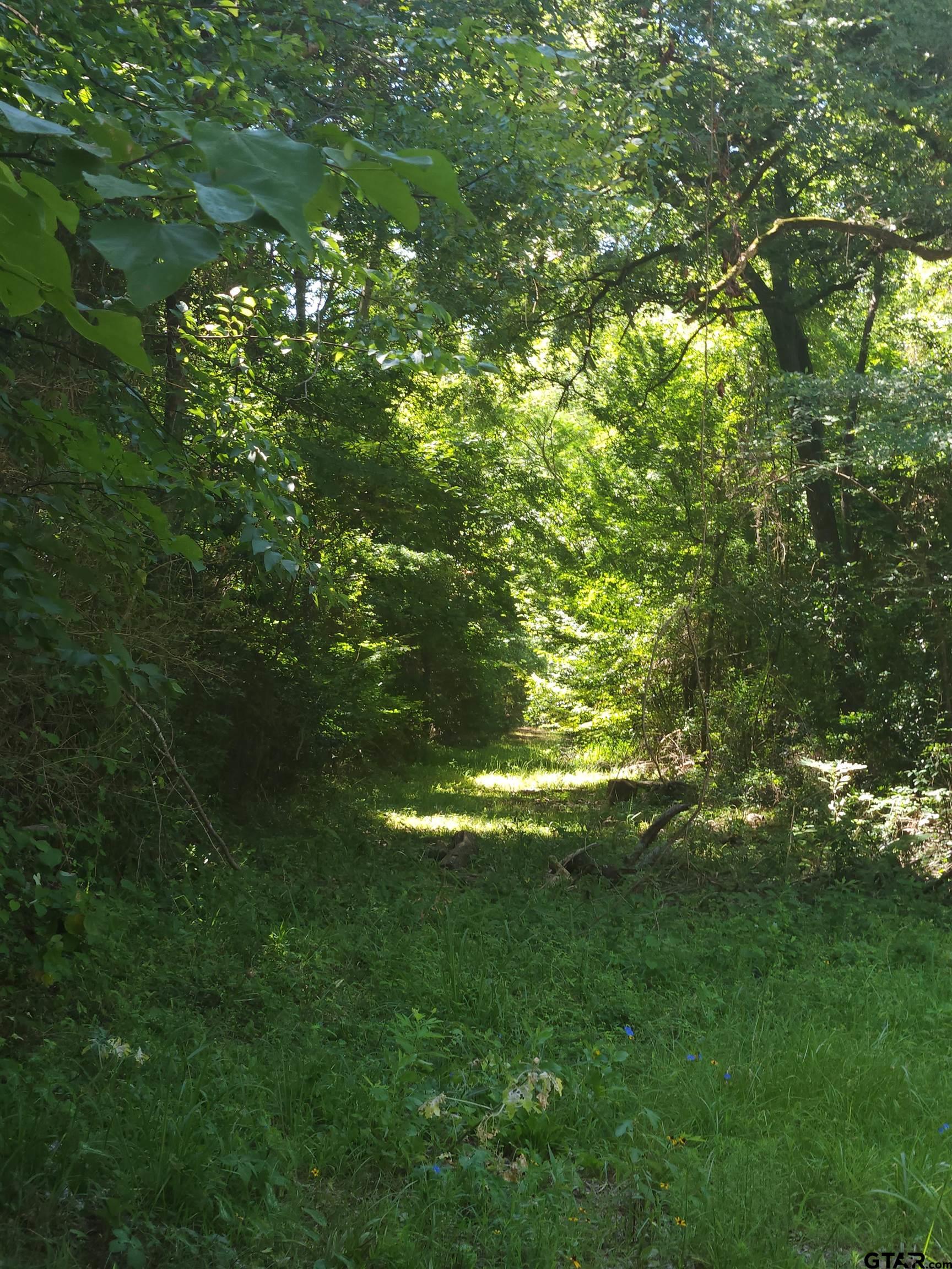 TBD 3.148 Acres Lakeshore Dr.