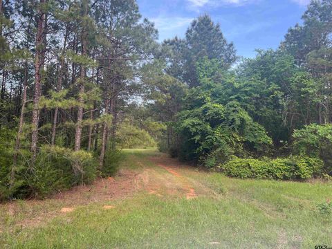 Tract 3 CR 477 Henderson TX 75654