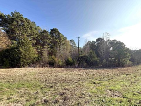 TBD FM 2888 Marietta TX 75566