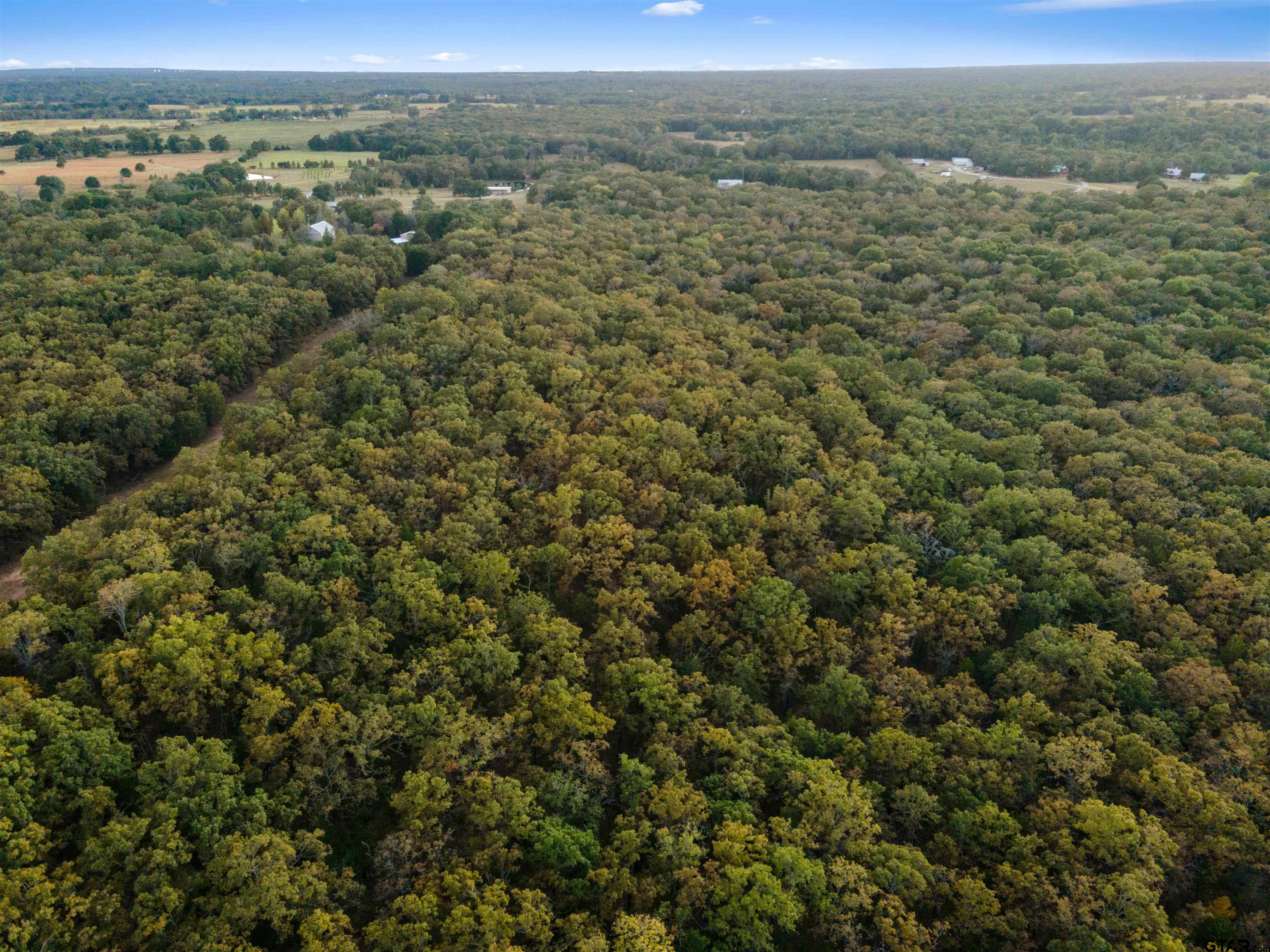 TBD County Road 3117