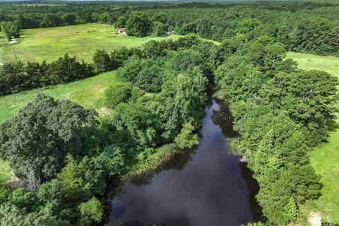 503 SE CR 4380 Scroggins TX 75480
