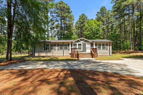 18481 CR 3186 Winona TX 75792