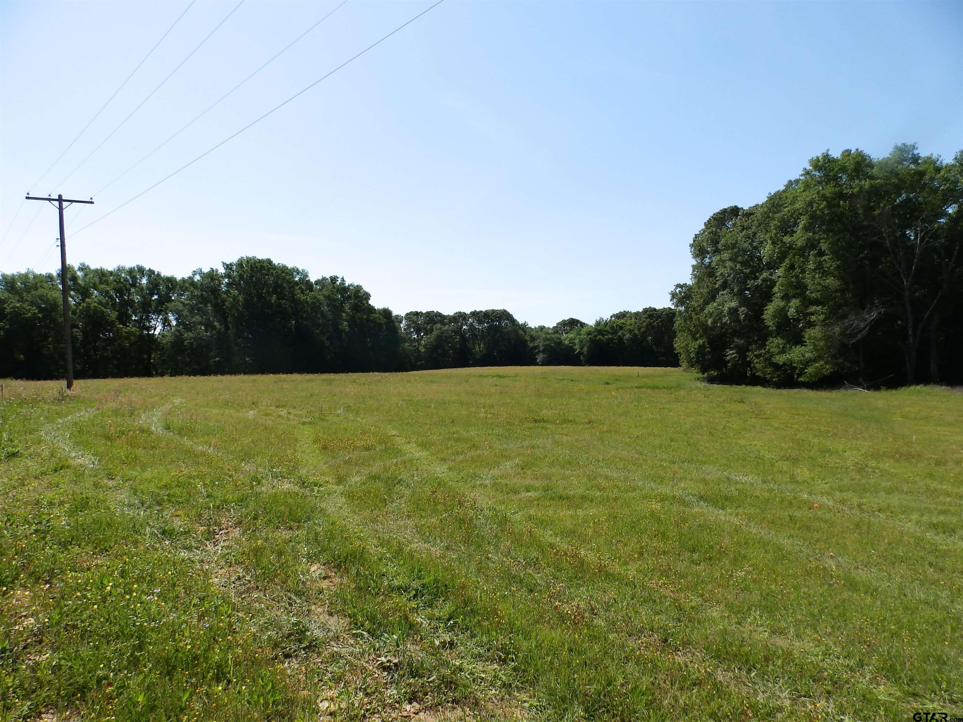 3168 HWY 175