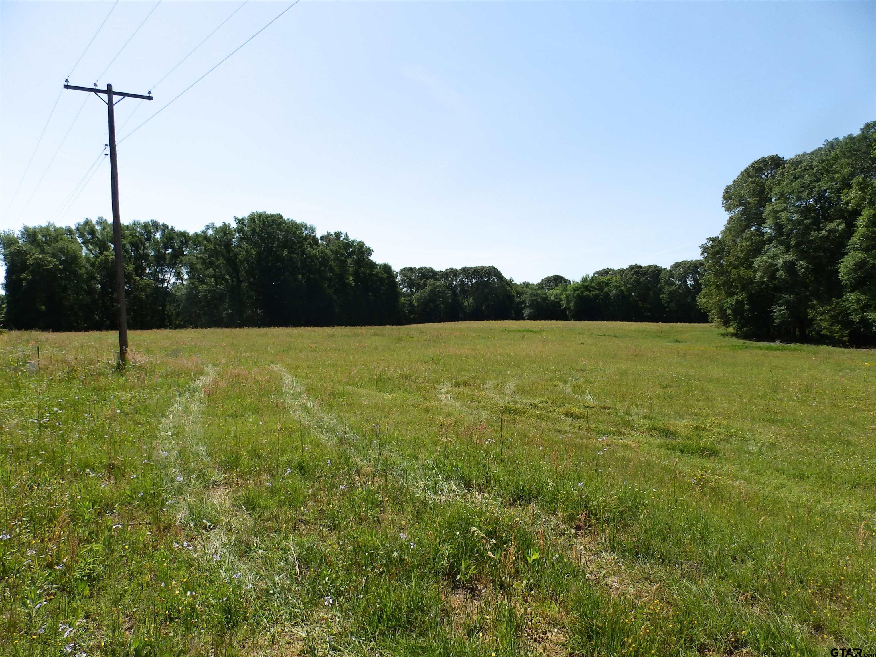 3168 HWY 175
