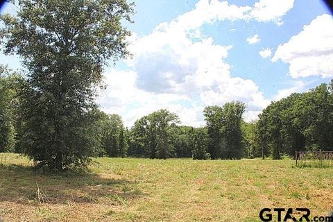 915 Stone Chimney Rd. (Lot 9 CR 3608) Bullard TX 75757