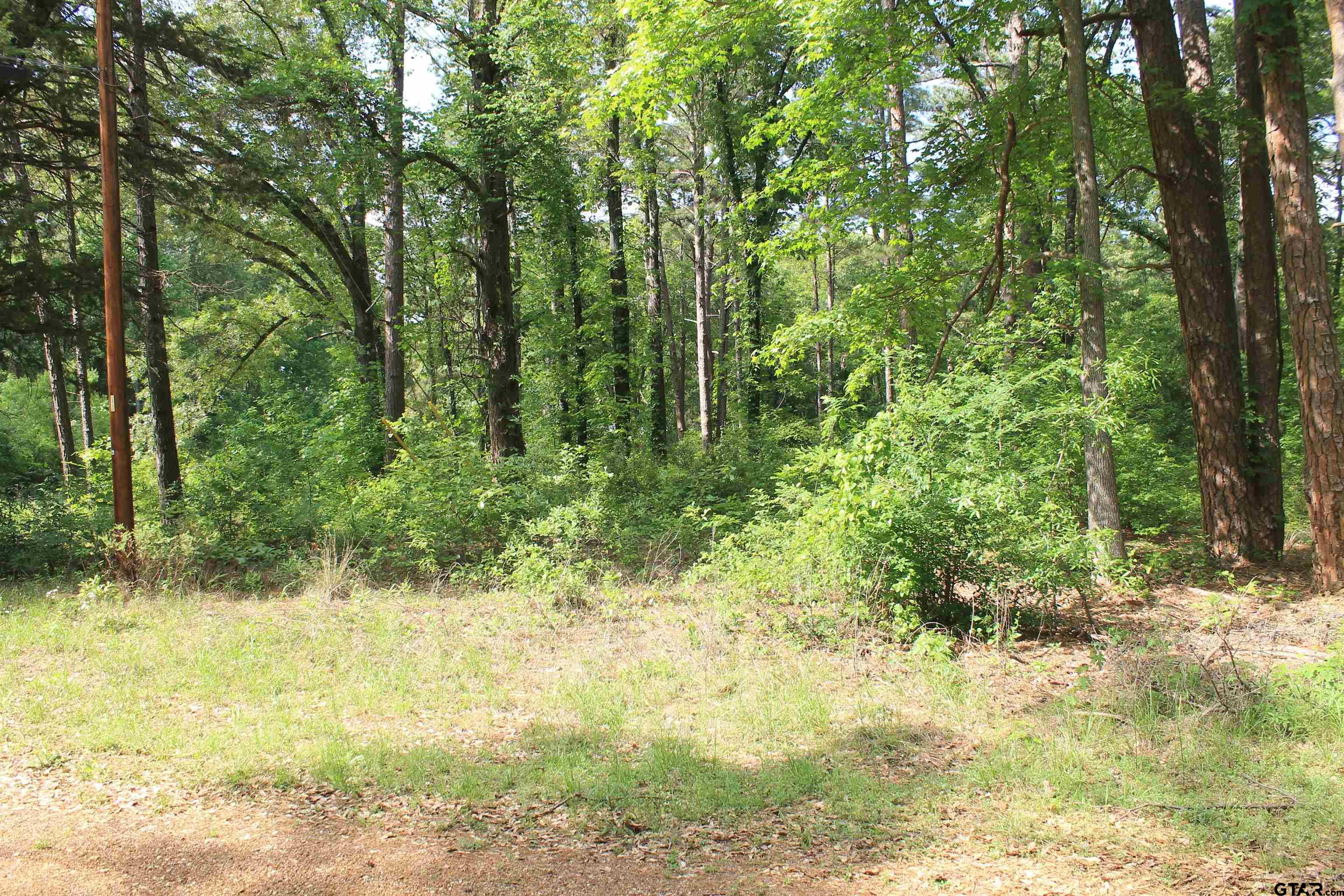 134 Cedar Ct