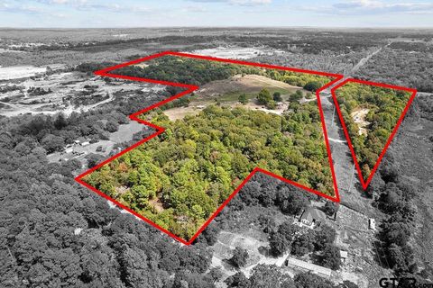 8474 CR 485 Tyler TX 75706