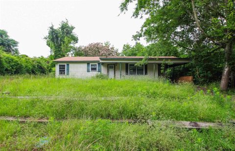 100 Mills St Arp TX 75750