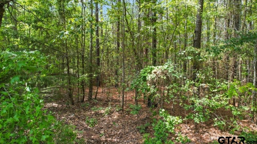 TBD CR 4114 22.22 Acres