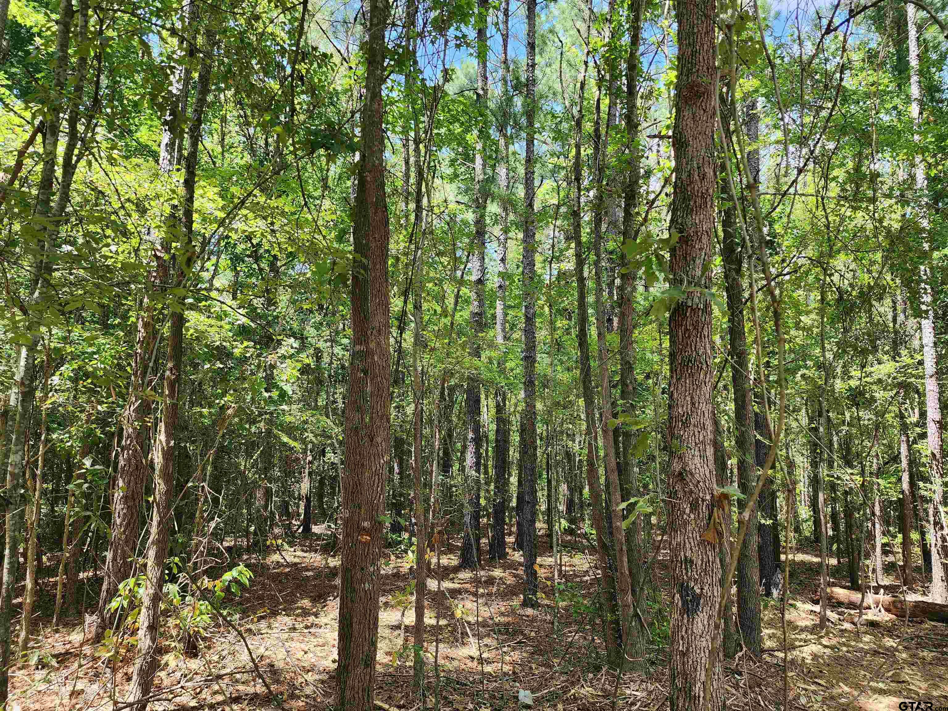 TBD CR 4114 22.22 Acres