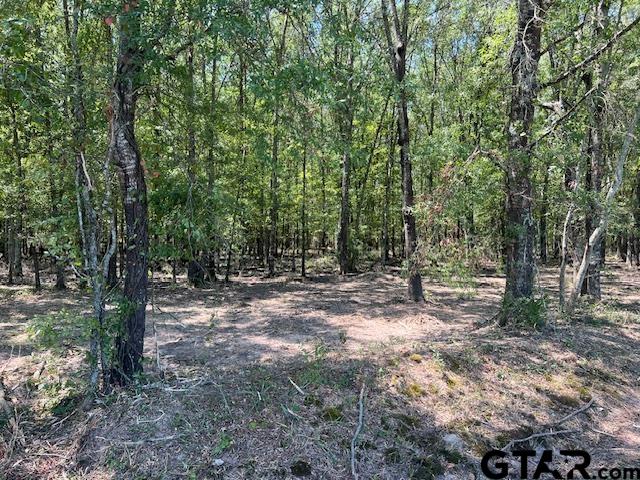 TBD County Road 3925 Lot 7