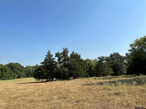 87 Acres FM 269 Pickton TX 75471