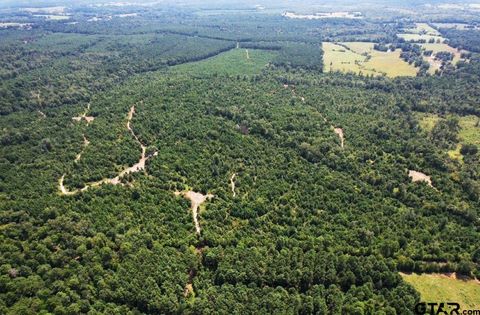 TBD CR 3163 Laneville TX 75667