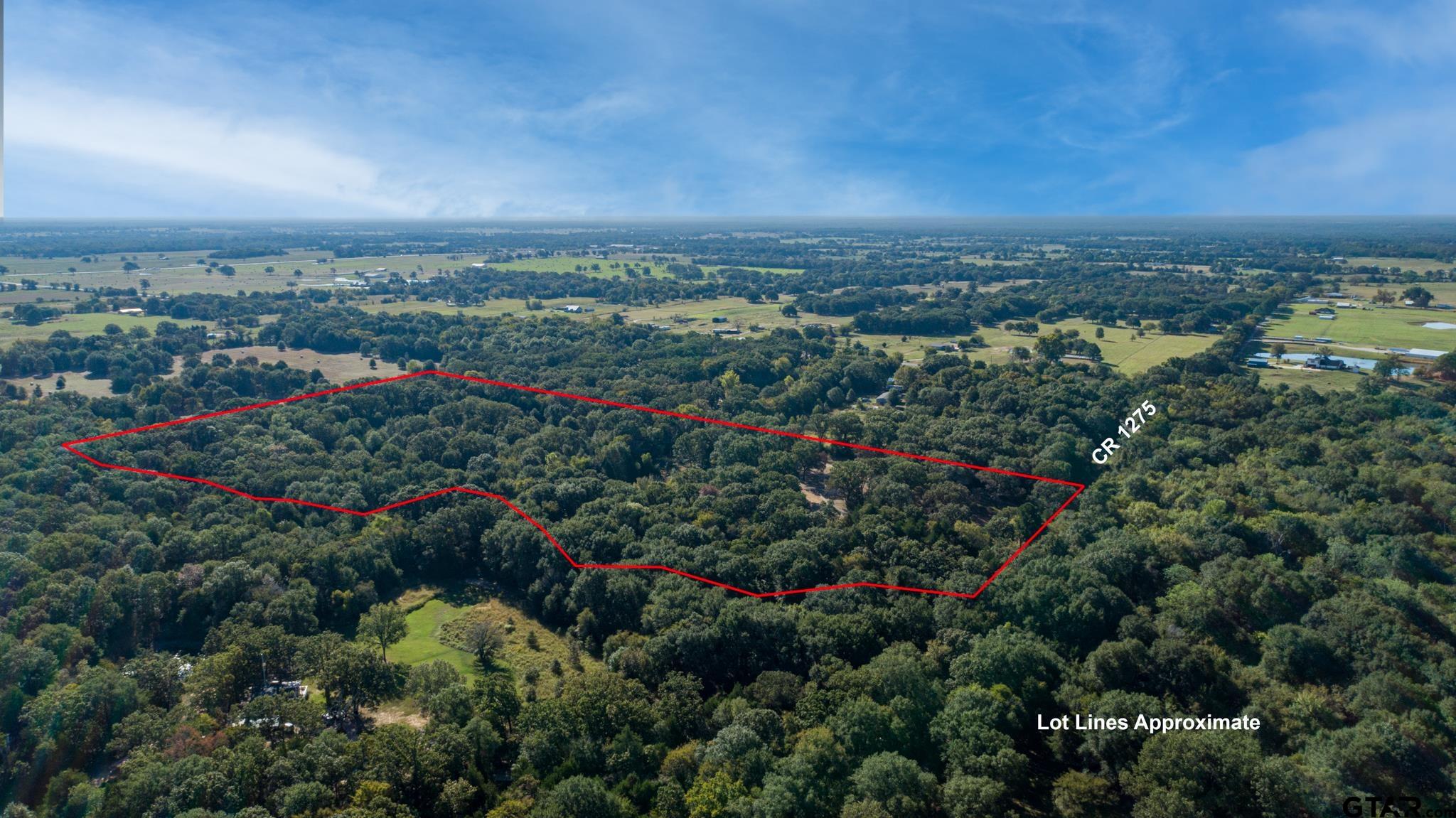 412 Rs County Road 1275 - Photo 2