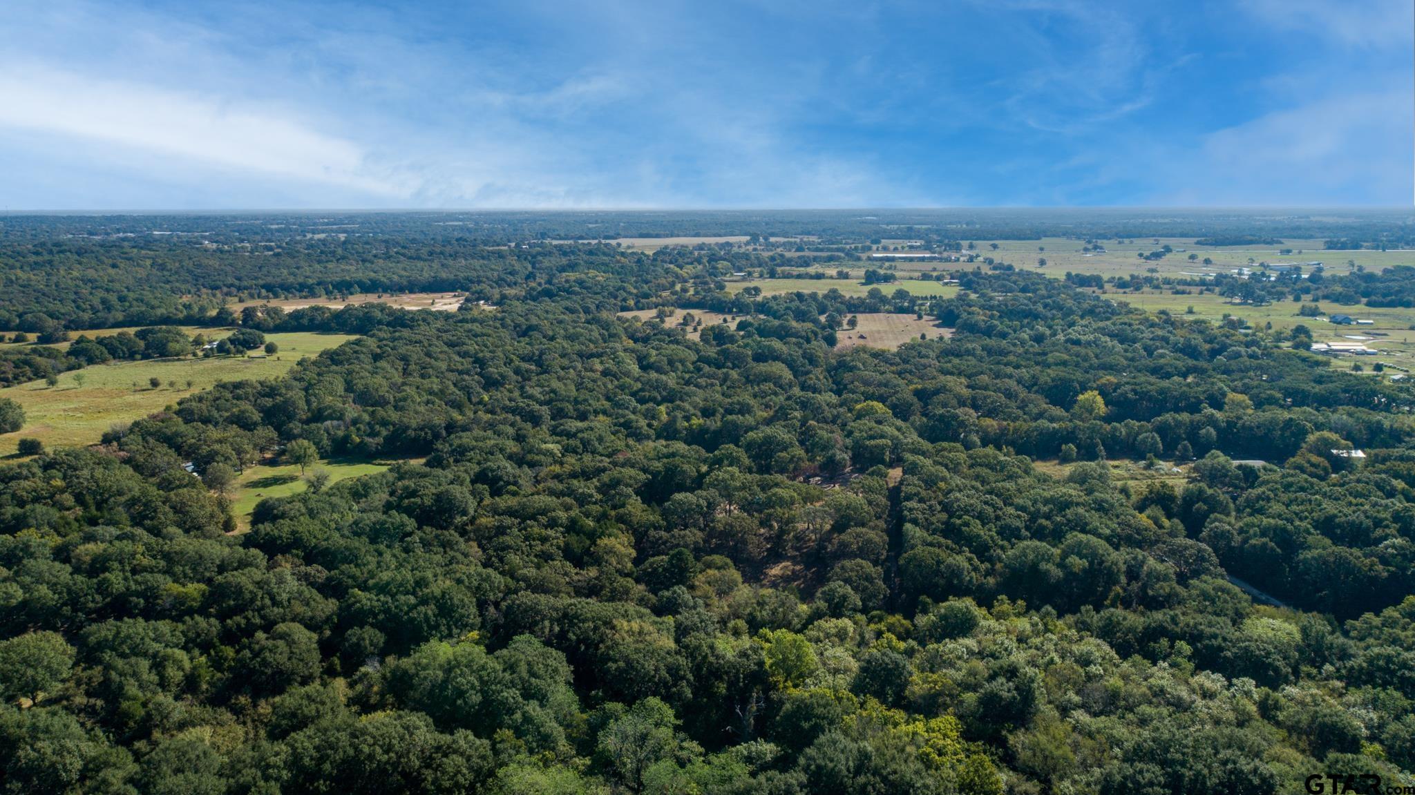412 Rs County Road 1275 - Photo 4