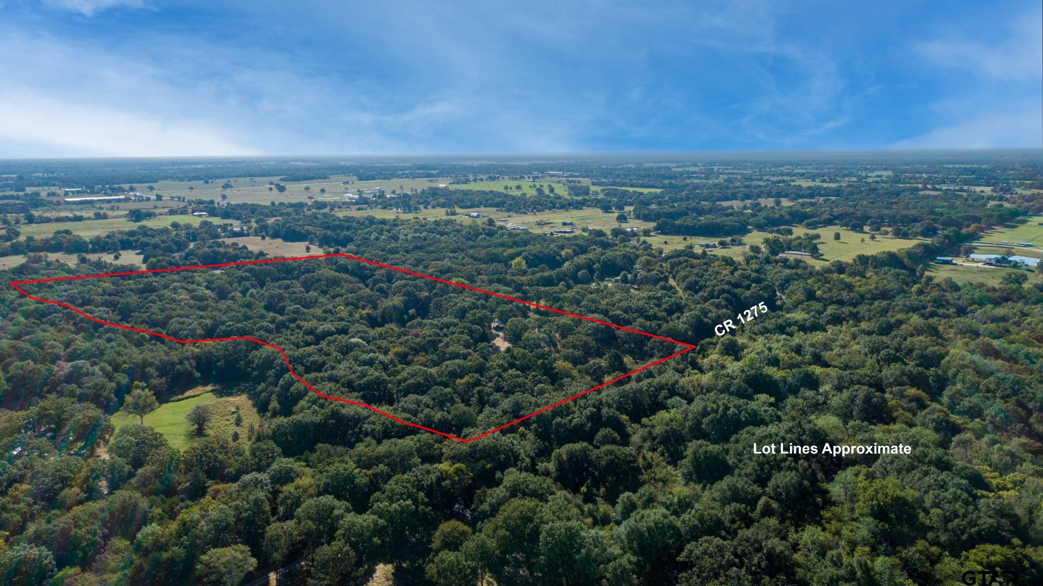 412 Rs County Road 1275 - Photo 3