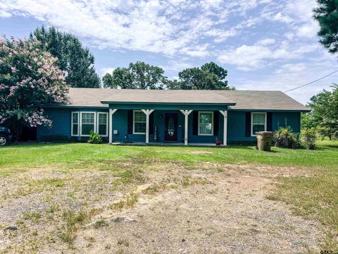 601 CR 4154 Pittsburg TX 75686