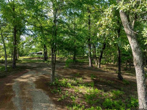 175 North Lake Drive Murchison TX 75778