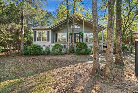 A home in Holly Lake Ranch