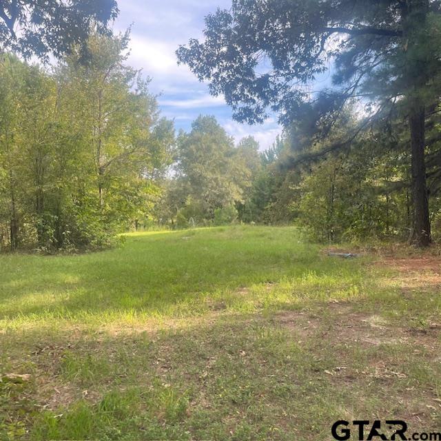 205 County Road 2880