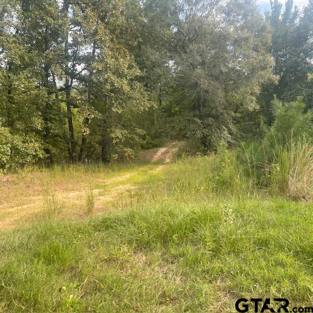 205 County Road 2880