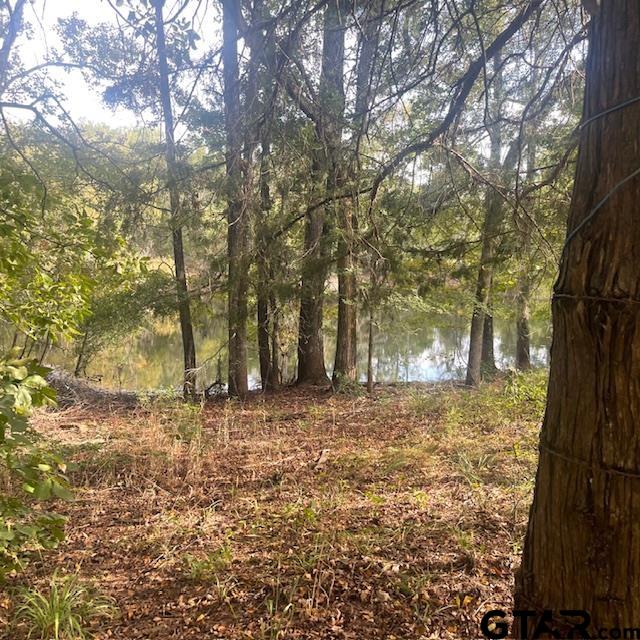 205 County Road 2880