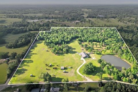 1132 CR 4470 Winnsboro TX 75494