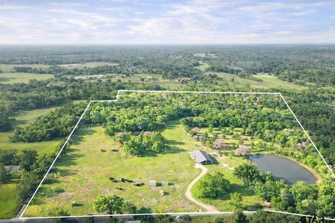 1132 CR 4470 Winnsboro TX 75494