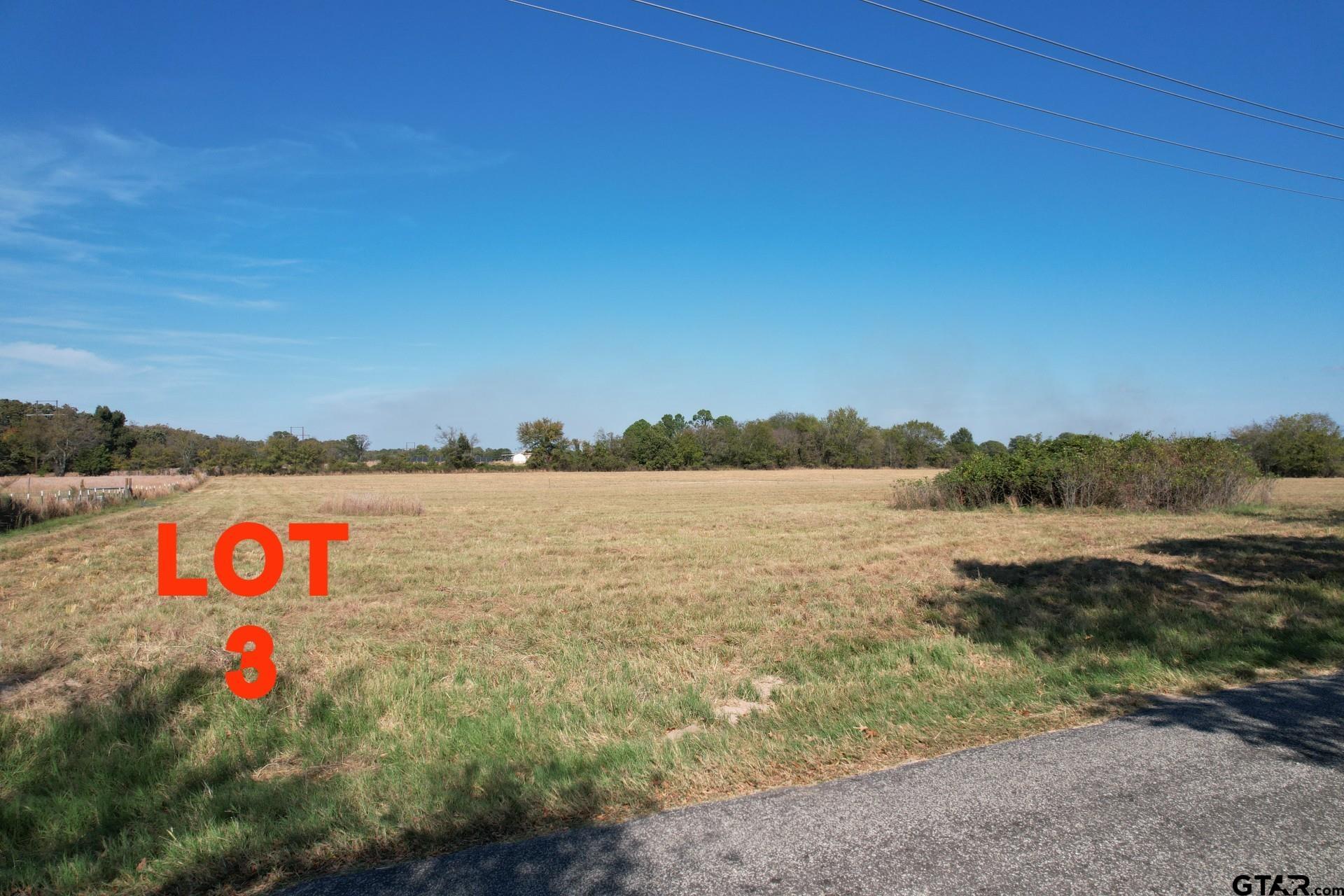 Lot 3 RS County Road 3150