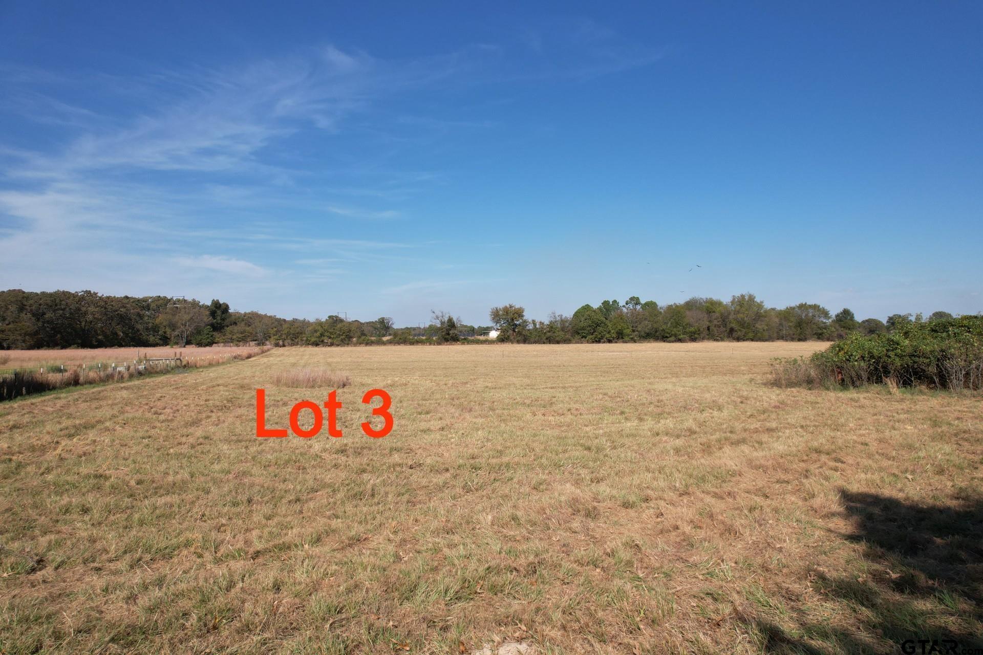 Lot 3 RS County Road 3150