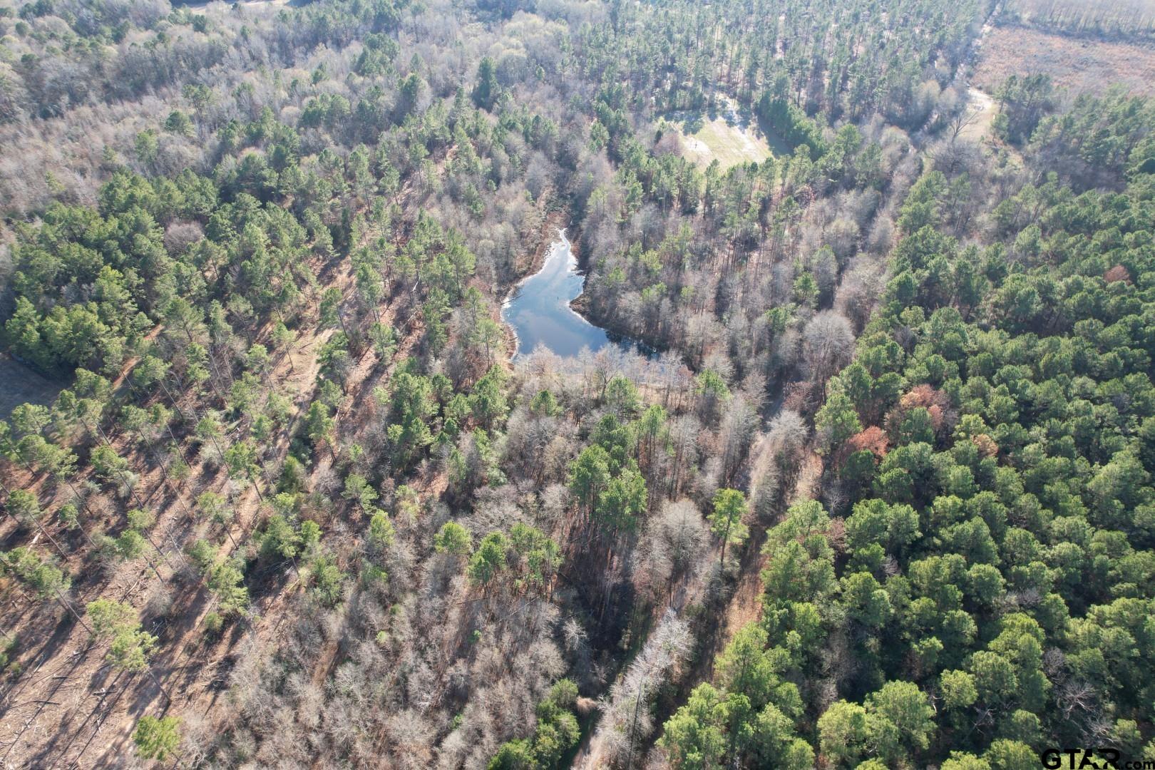 TBD-C County Road 216