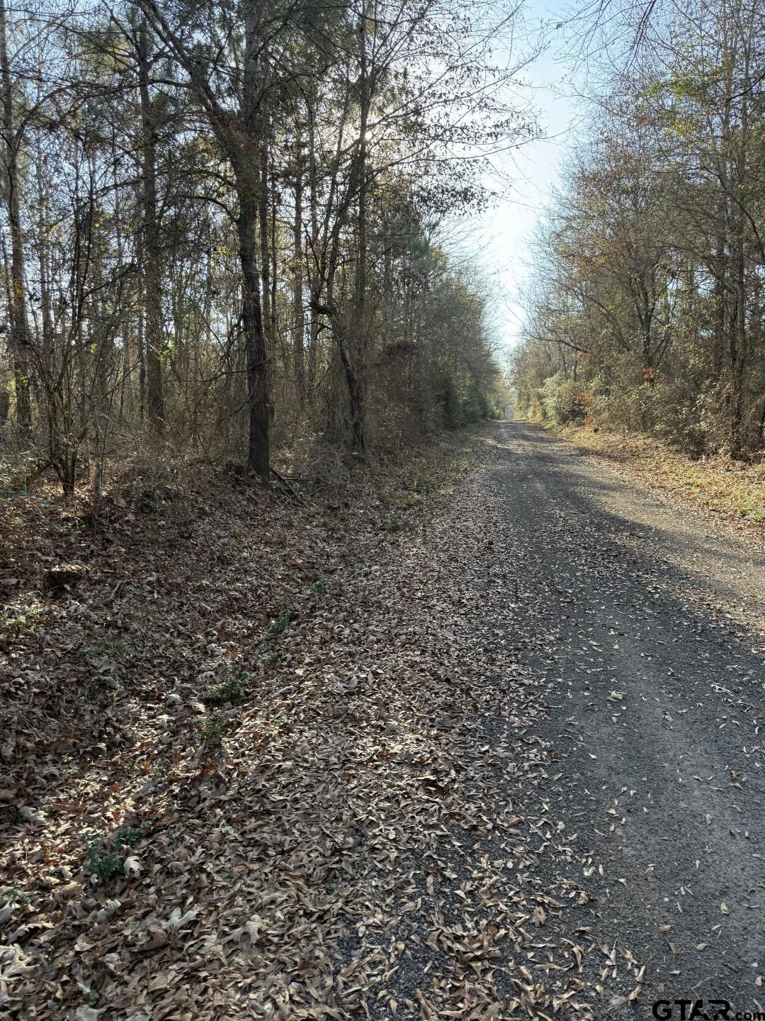 TBD-C County Road 216