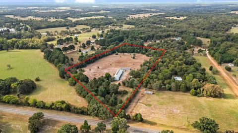 112 County Road 4716 Ben Wheeler TX 75754