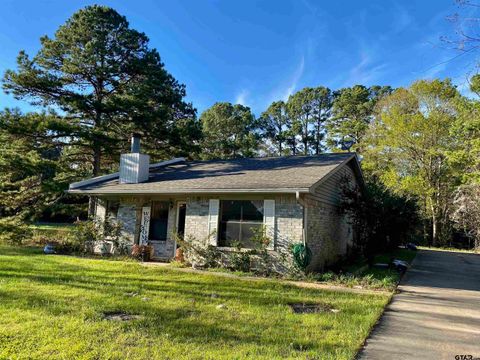 1015 E Broad St. #14 Mineola TX 75773