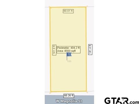 111 W Magnolia St Troup TX 75789