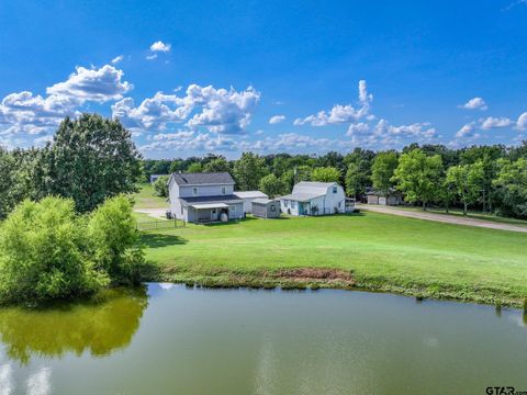 154 Wapiti Quitman TX 75783