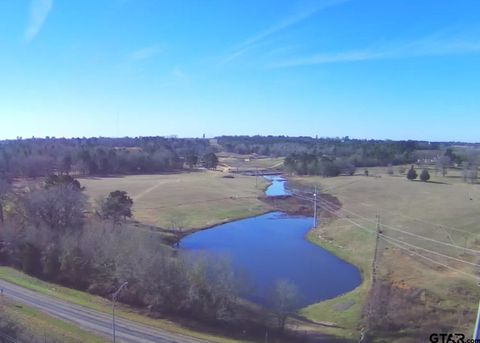 8827 FM 1404 Gilmer TX 75645