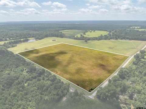 1420 ACR 379 Palestine TX 75801