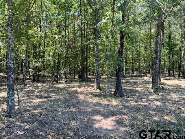 TBD Lot 9 County Road 3925