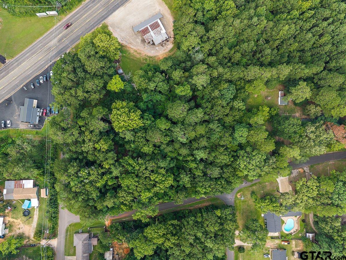 TBD Forest Hills Dr