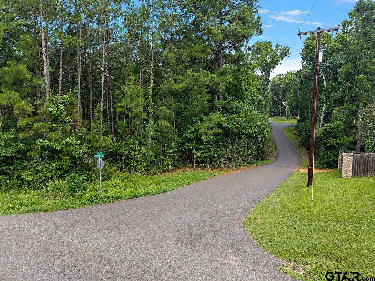 TBD Forest Hills Dr