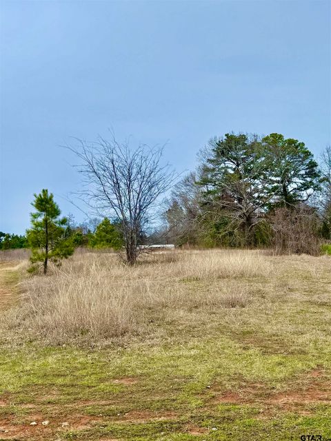 MLS: 25003517