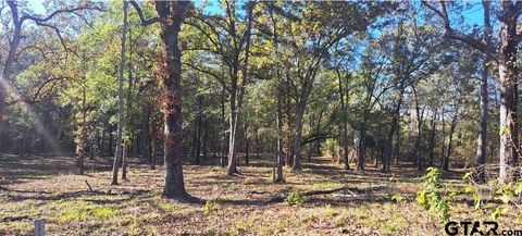 TBD CR 4147 Lindale TX 75771