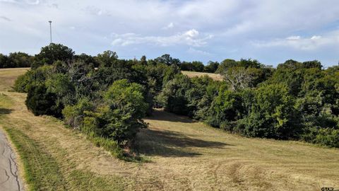 Lot 255 Overlook Point Athens TX 75752