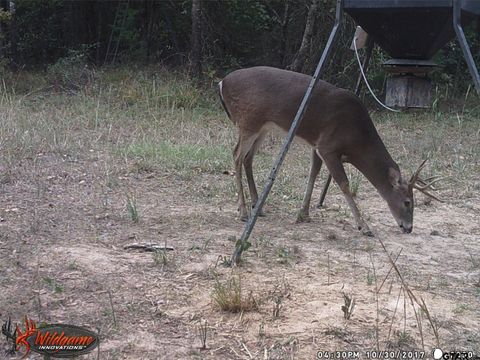 139 Cr 1061 Talco TX 75487