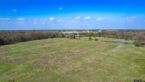 80ac Lot2 County Road 2376 Winnsboro TX 75494