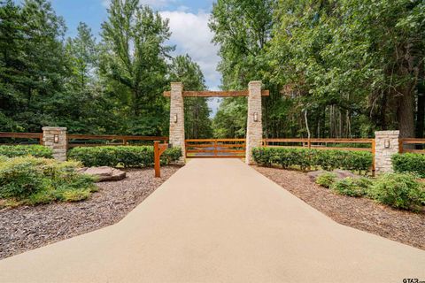 455 SE CR 3350 Winnsboro TX 75494