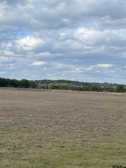 CR 437 Lindale TX 75771